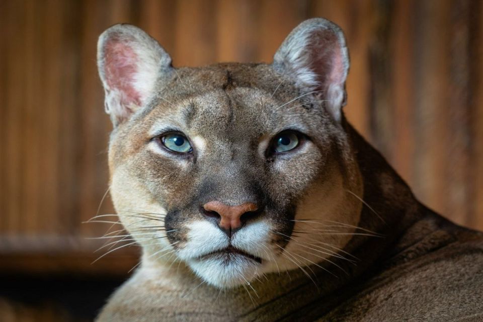 ��� ���� ����: ��������� ���� �� �������� ������������� ����� ����� ����� � ����� ���� ��������