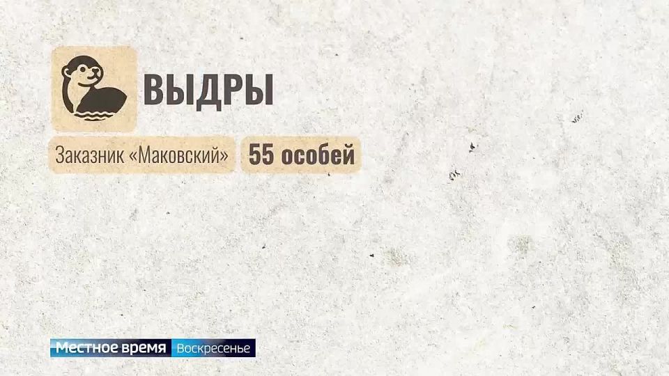 ����� � ������: ����������� ����� � ���� �� ���������� ������������� ����