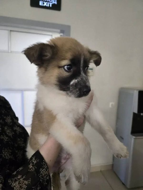 �����! ����� ������ � ����� ���