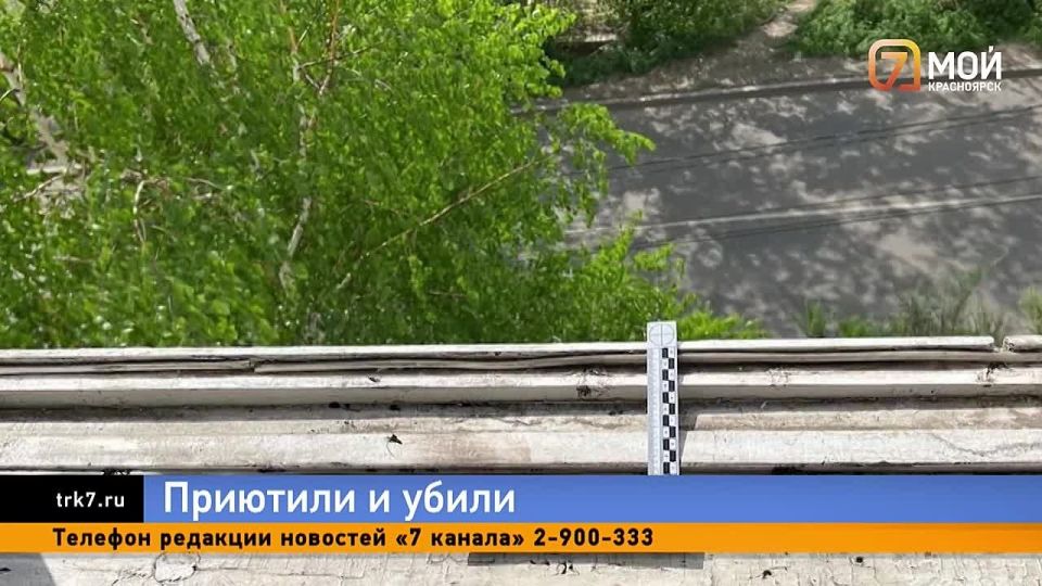 ������� 19-������ ������ �������� ��������