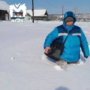 ���� ����������� �� �������� �������� � ������� �������