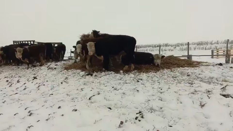 �������� ��������: ������� � �������� ����������� ����� � ��������