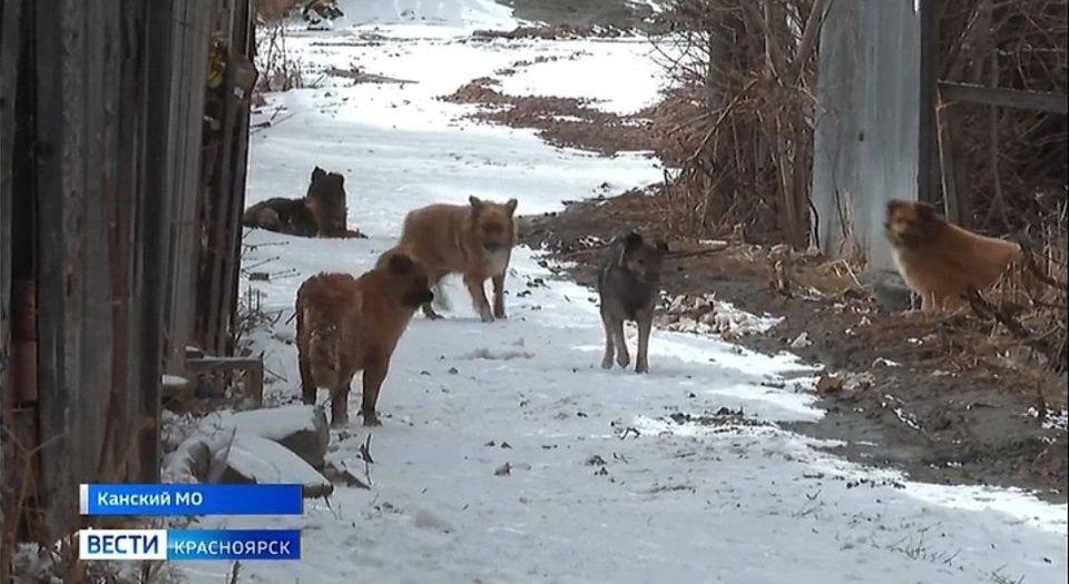 ����� ������������� �������� ��������� ��������� ���� �� �������� ���� � ��������� ����� �� ������ � ������