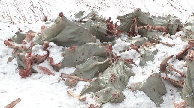 ����������� �������������� �������� � ������������� ������ ������ ������� �����������