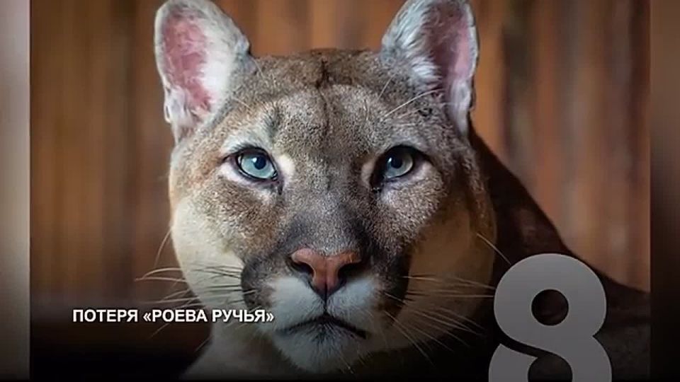 ������� �� ���������. ������� ����������� ��������� ����� ������ ���������� ������, ������� ������������� � ����������� �������� ������������