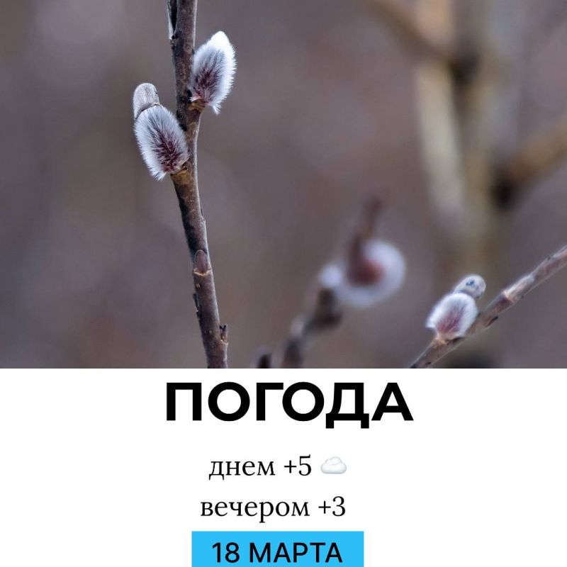 ������ �� �������. @gornovosti