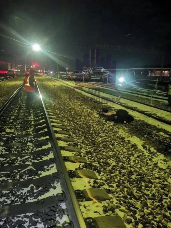 � ����������� ������� ����� ��� ������� ������