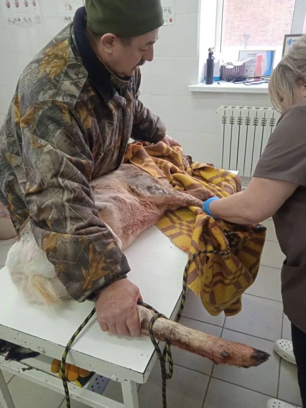 � ������������ ���� ������ ������� ���� � ���������� � ��������