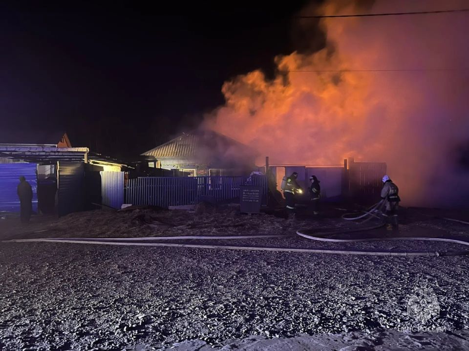 ������ � 40 ����� �������� ����� ������� � ������ �� ������� �������� �������