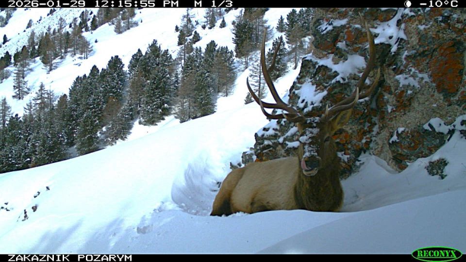 ������ ��������� �� ����� ��������!