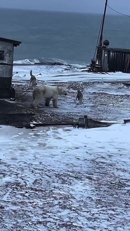 ���������� �� ���� ��������� � ������ �� ���� �������� � ������ � ������