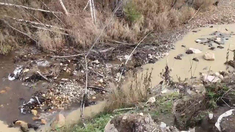 ���������������� �������� ��������� ������� ������ ������, ������������ ������������ ���� ������ � ������������ ����