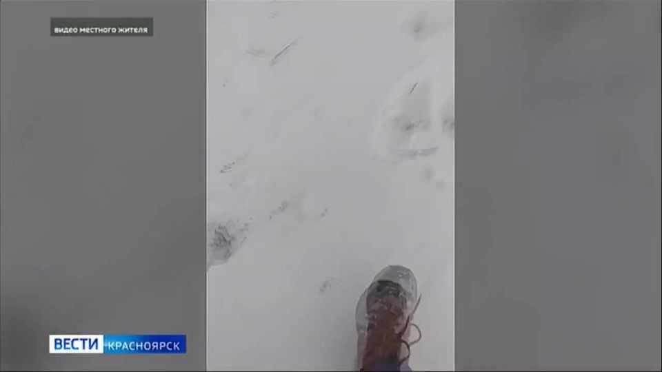 � ���� ������� ��� ������������ ������� ������ ���������� ����� �������