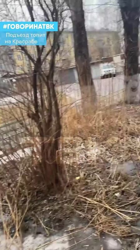 Подъезд топит на Красноярском рабочем, 173А