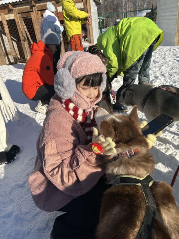 ��������� ������� �������� ��������� ����������� ������ ����������