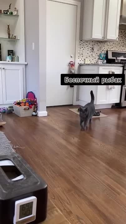 ���������� ���������� �� �����: ����� ������ ����