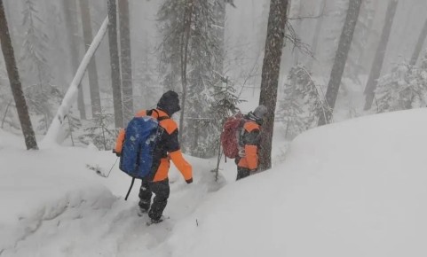 ����� �� ���������� ������� � �������� ��������� ������� ����