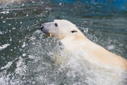 ����� ������� ������� ��������� ����� � ������� �����