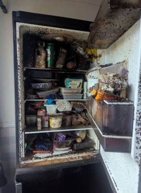 В Англии 54-летнюю женщину признали виновной в жестоком обращении с животными