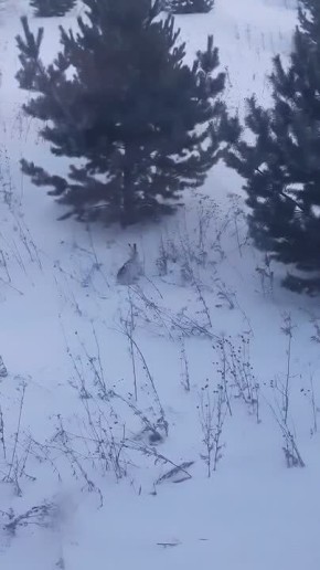 ��� ������������ ������� �����, ������� ������� ������� � ����� ������