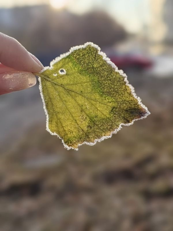 +6�C � �����: ������ �� ������� ������ � �����������