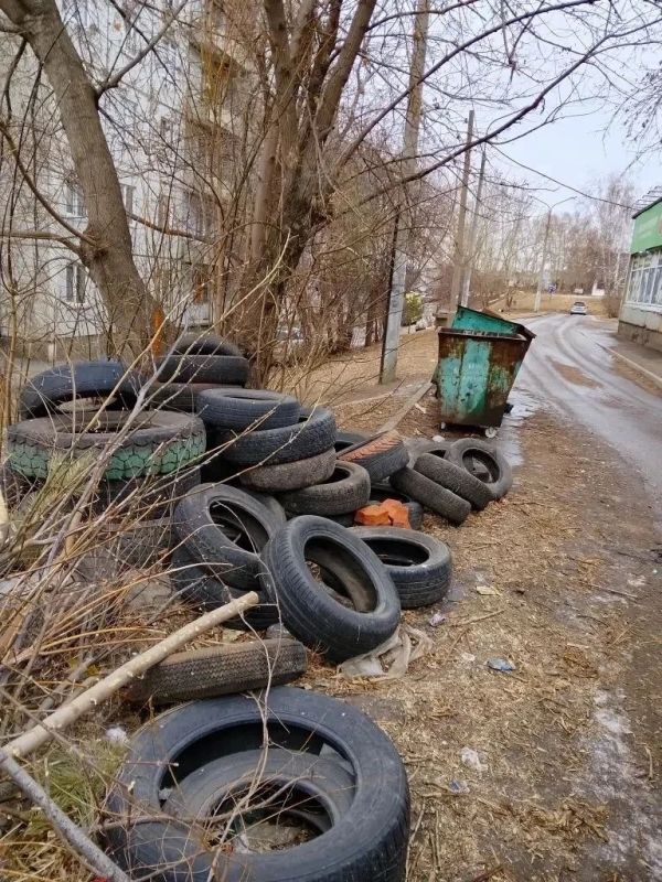 ��� ����� ���� ������ �������� ������� ���� ��������� ������� ��������