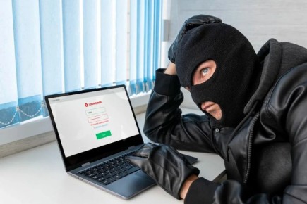 С начала года мошенники похитили у жителей Красноярского края 403 миллиона рублей