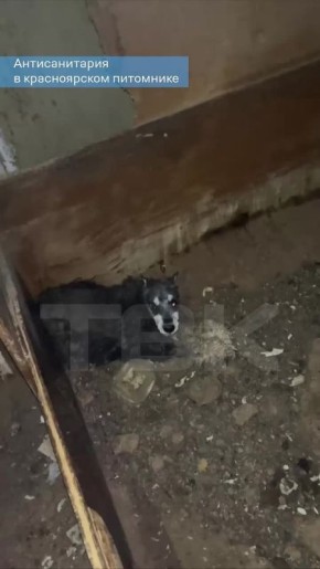 ��������� �������, ������: � ������������� ��������� ������� ������ 30 �������� ���������� ����� ��-�� �������������