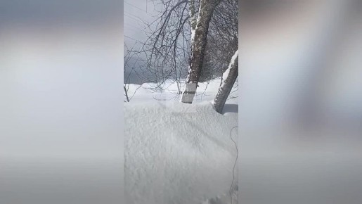 ���� ��������� �� ��� ���� �������� ������