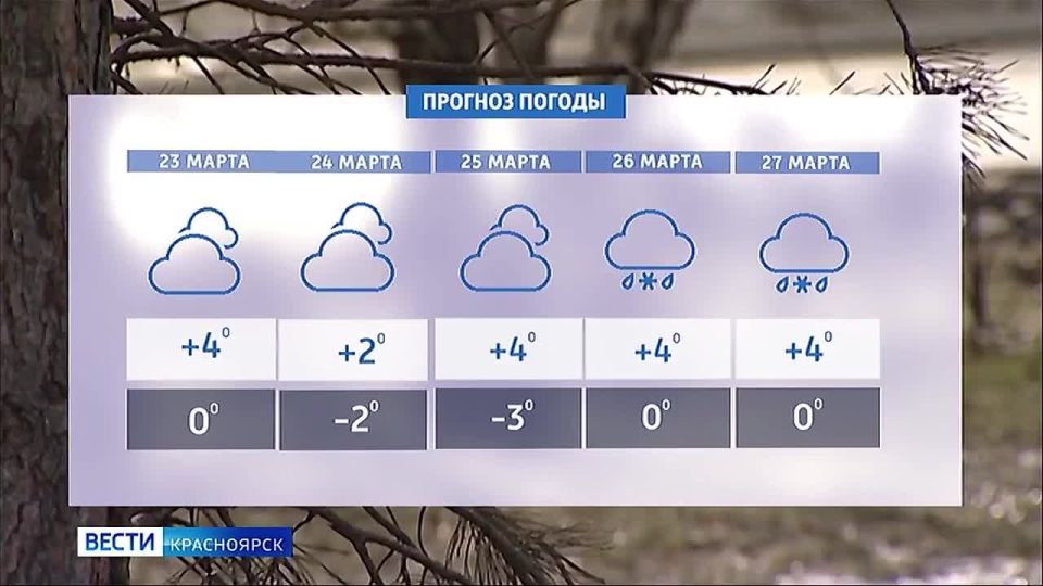 �� ������ ������ �������� ����������� ��������� �������������� �������� �������������