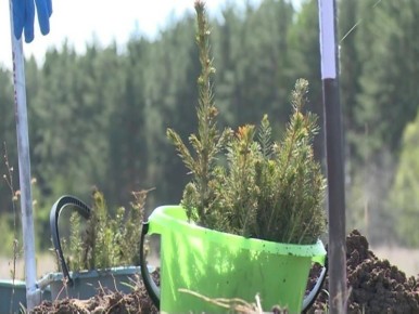 �� ������������� ����� ����� ���� ������ ������� ����� ����� ��� ������� ��������