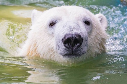 ������ � ����� ������� ��������� �����!