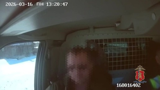 � ������������ ���� �������������� ����� ������� ��������� ���