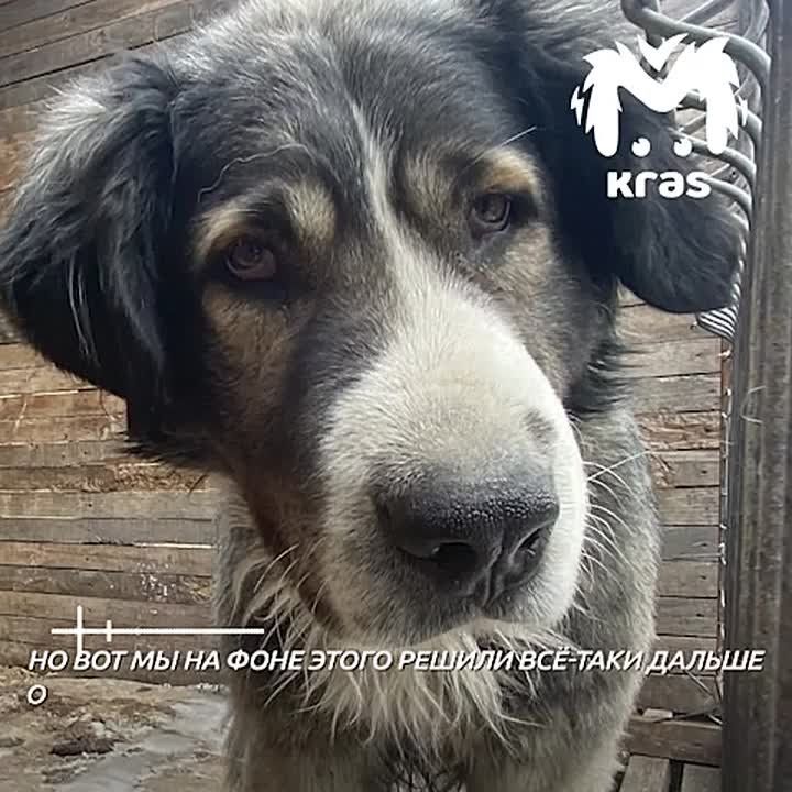 �������� ������������� ������ "�����" ������, ��� ������ �� ����� �������� ����� ������������� � � ���� �������� �������� � ���������