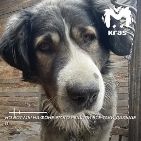 �������� ������������� ������ "�����" ������, ��� ������ �� ����� �������� ����� ������������� � � ���� �������� �������� � ���������