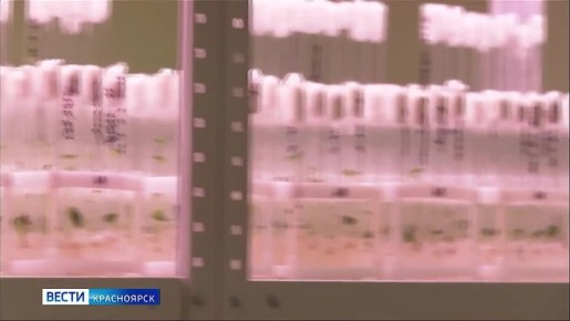 � ������������ ���� �������� �������� ���������� � ��������