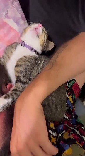 Доброе утро!. Знаете, в чем секрет утренней бодрости? Мы тоже не знаем