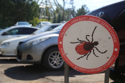 ����������� ���������������� ���������� ��������� � ������ ������ ������ � ������������ ����