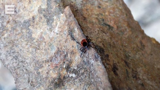 ����� ���� �� ������ ������ ������� ����