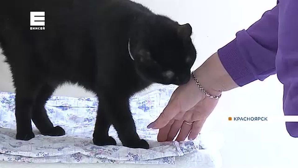 ������������� ����� ��� ����� � ����������� ������ ���� ����� ����� ��� ��������