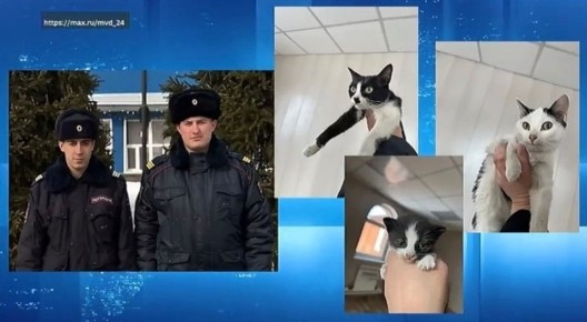 ���������� ��� ������ ����� �� ������ ���������� ��������