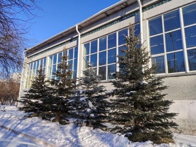 ��� ����� � ��������� ������ ����������� ���������� ������������� �� 500 ��� ������