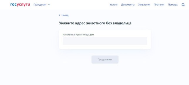 �������� � �������� ������� ����� ��������� ������ ������ ������������� ����