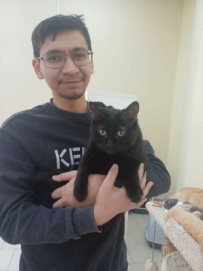 Красноярцы забрали несколько котов из приюта после нашего сюжета