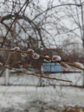 ������ ����!