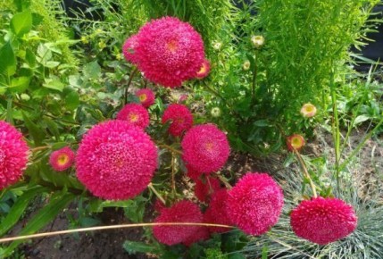 ������ ����� ������ ����� ��� ���� ������ �����?