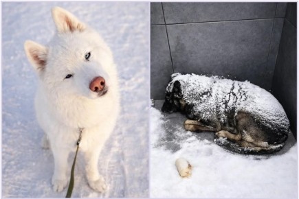 ��������� �� ������ ������ ����� �������� � ����� ����� ����� �������� � ����������� �� ������� �������, � ��� ��� �� ����� �����