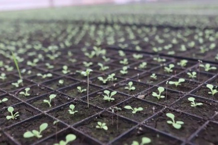 � �������� ���������� ������� ������������� ������ ������� ����