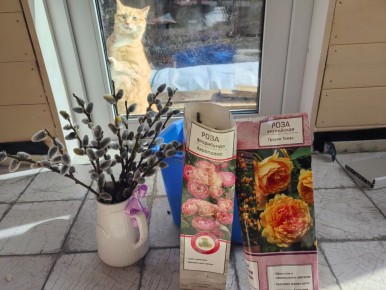 ������� ��������: ��� ��������� �������� ������� ��� � �������� �� �������������