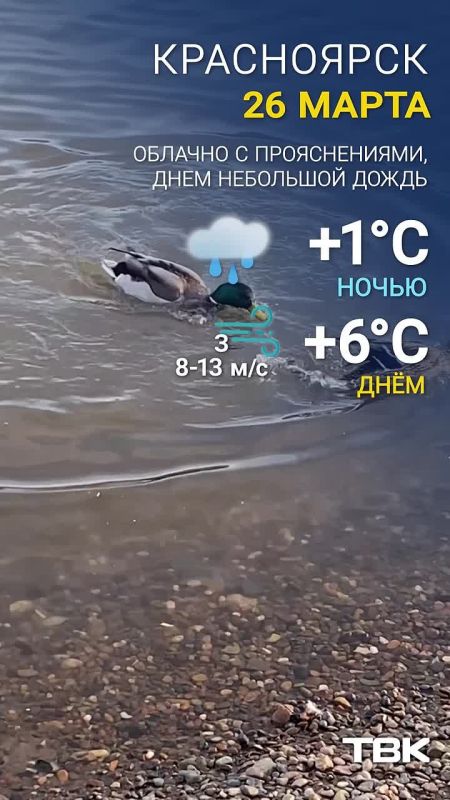 ������ �� 26 �����. ����� 1�C